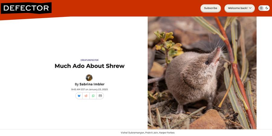 Much Ado About Shrew