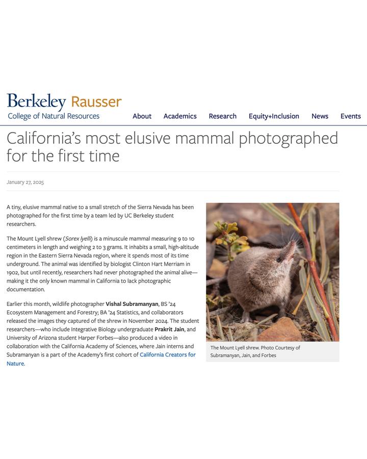 CNR Shrew Feature