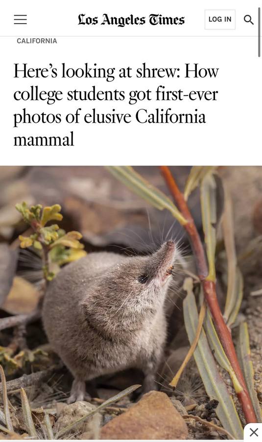 LA Times Shrew Feature