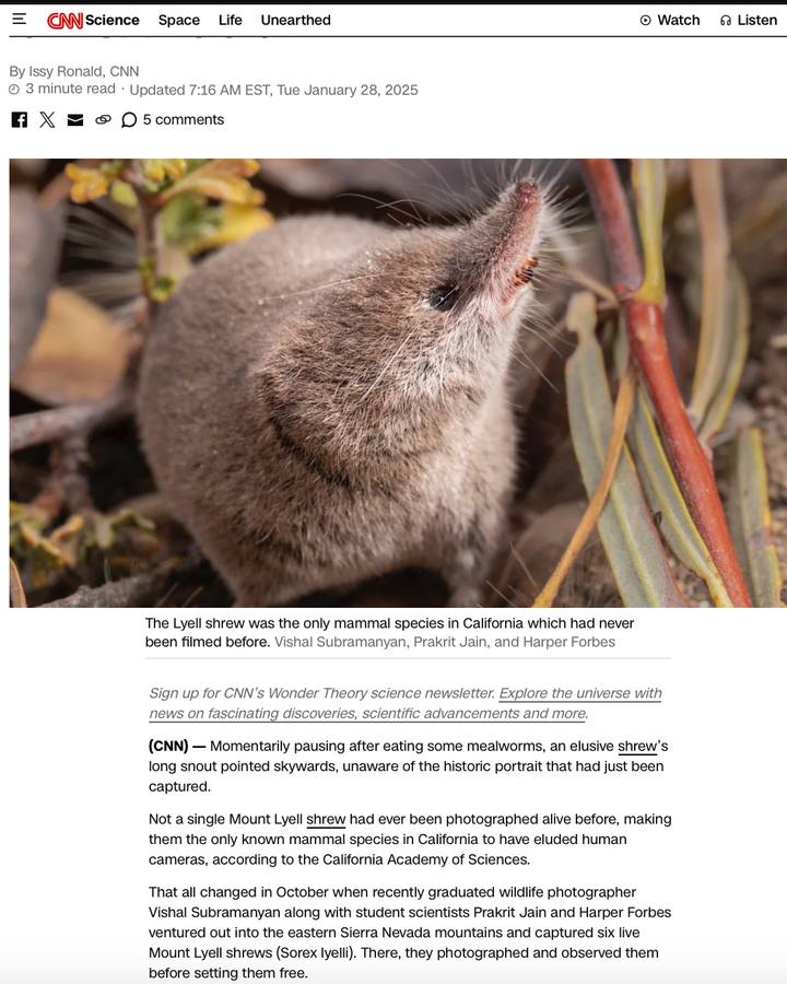 CNN Shrew Feature