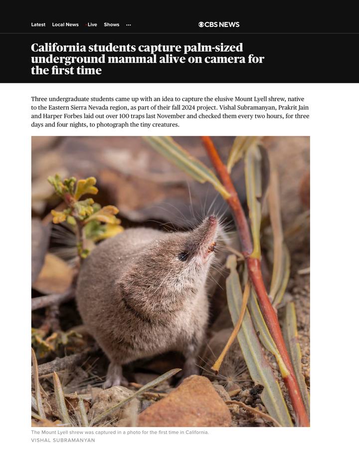 CBS Shrew Feature