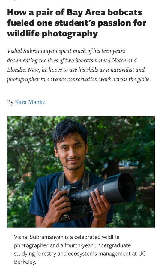 Berkeley News Feature