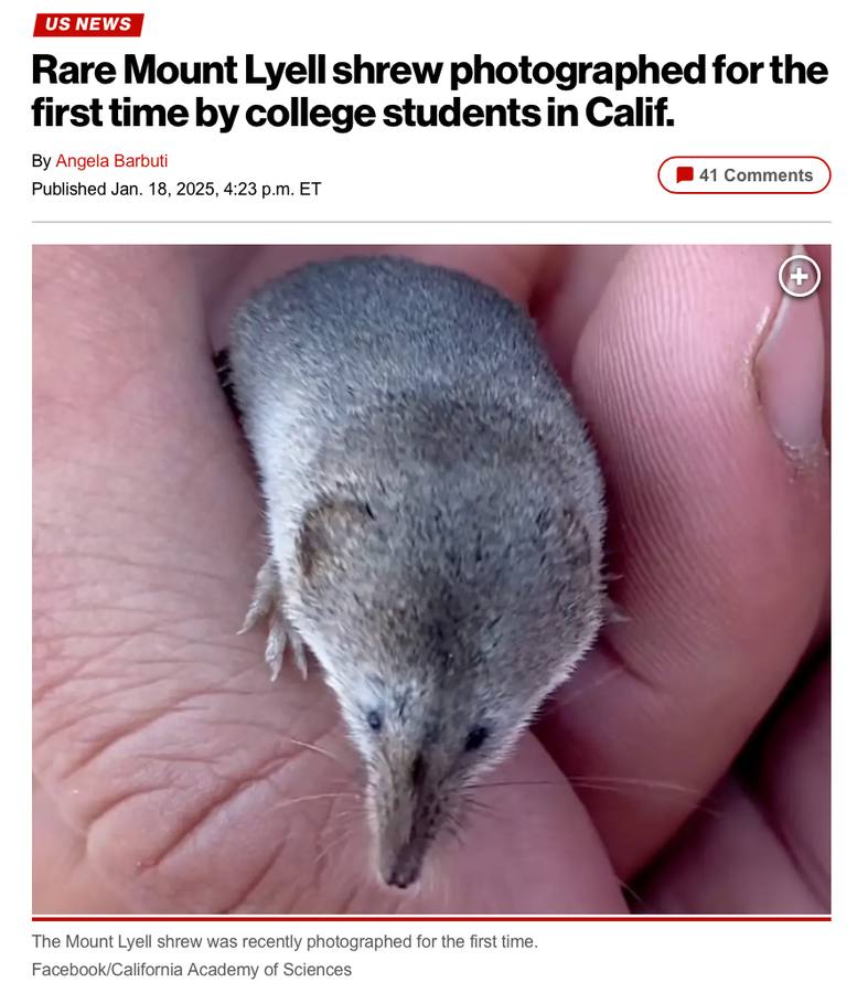 New York Post Shrew Feature